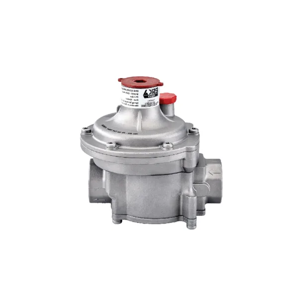 Eska ERG1020 3/4" DN20 filtreli gaz basınç regülatörü görseli